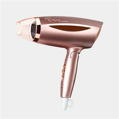 Plizyè Multi Voltage Cheve Sèch