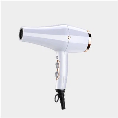 Gorgeous reglabl kanpe seche cheve